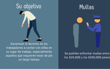 ¿En que consiste la ley silla?