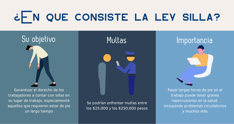 ¿En que consiste la ley silla?