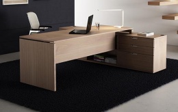 Conjunto directivo TEC I