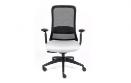  CURVE RE-1570/BL - RE-1570/NG
