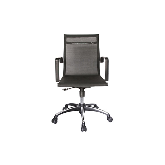 OHE-293negro