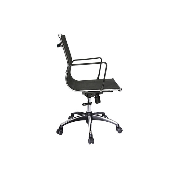 OHE-293negro